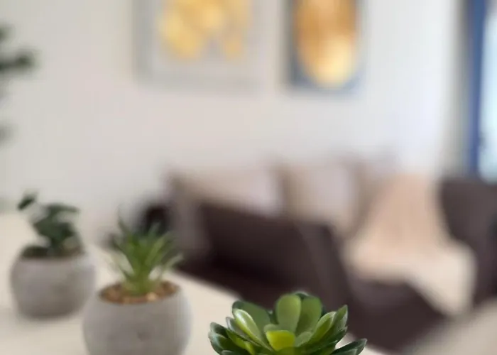 Apartment Casa Mio Brasov